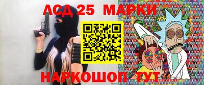 гашик Донской