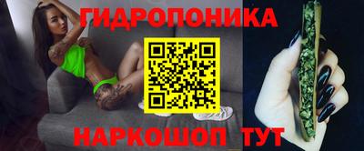 гашик Донской