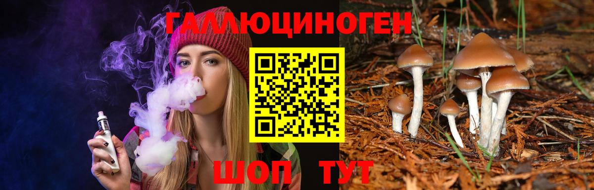 Галлюциногенные грибы MAGIC MUSHROOMS  купить   Майский  Псилоцибиновые грибы Psilocybine cubensis  Вход с VPN 